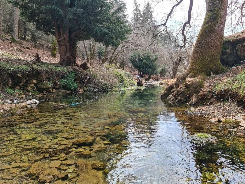 宾馆 La Pommeraie D'ifrane 3*