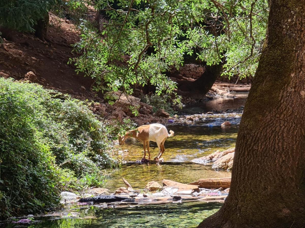 La Pommeraie D'ifrane 3* 伊夫兰